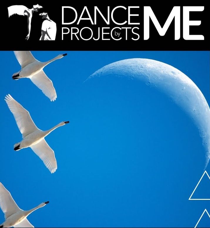 Movement as Language poster, featuring a blue sky with a crescent moon and three white geese flying overhead